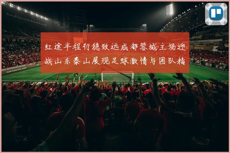 红途半程行稳致远成都蓉城主场迎战山东泰山展现足球激情与团队精神