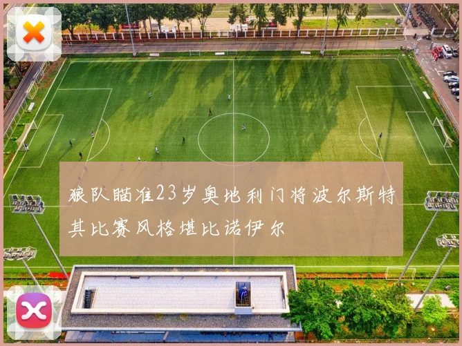 狼队瞄准23岁奥地利门将波尔斯特其比赛风格堪比诺伊尔